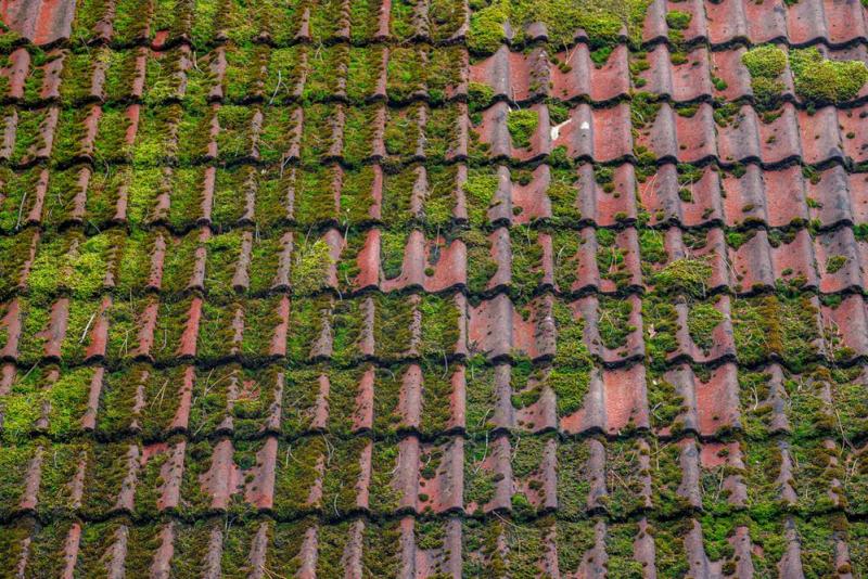 Nettoyage de toiture &agrave; Jassans-Riottier, techniques et fr&eacute;quence optimales